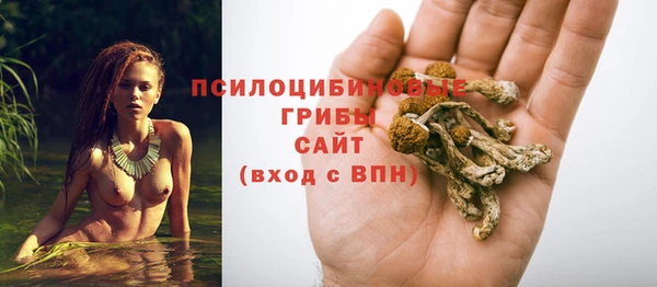 трава Баксан
