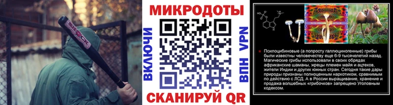 Псилоцибиновые грибы Psilocybe Костомукша